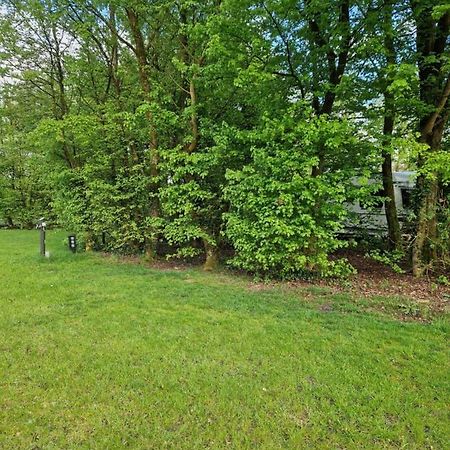 Camping Alkenhaer Appelscha Lege Kampeerplaats Екстер'єр фото