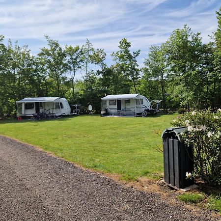 Camping Alkenhaer Appelscha Lege Kampeerplaats Екстер'єр фото