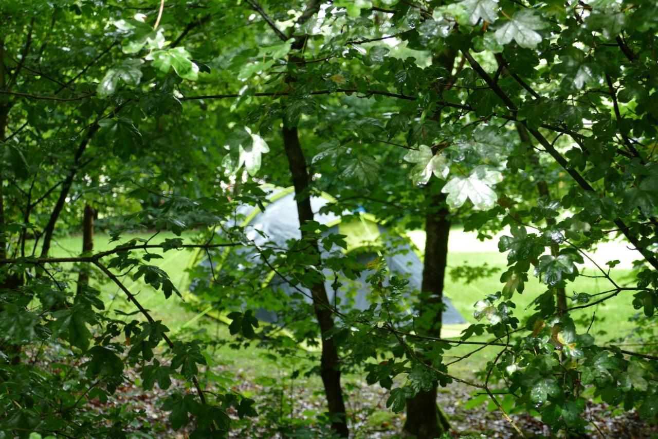 Camping Alkenhaer Appelscha Lege Kampeerplaats Екстер'єр фото